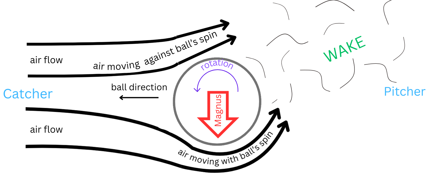 a diagram illustrating the Magnus effect on a thrown baseball