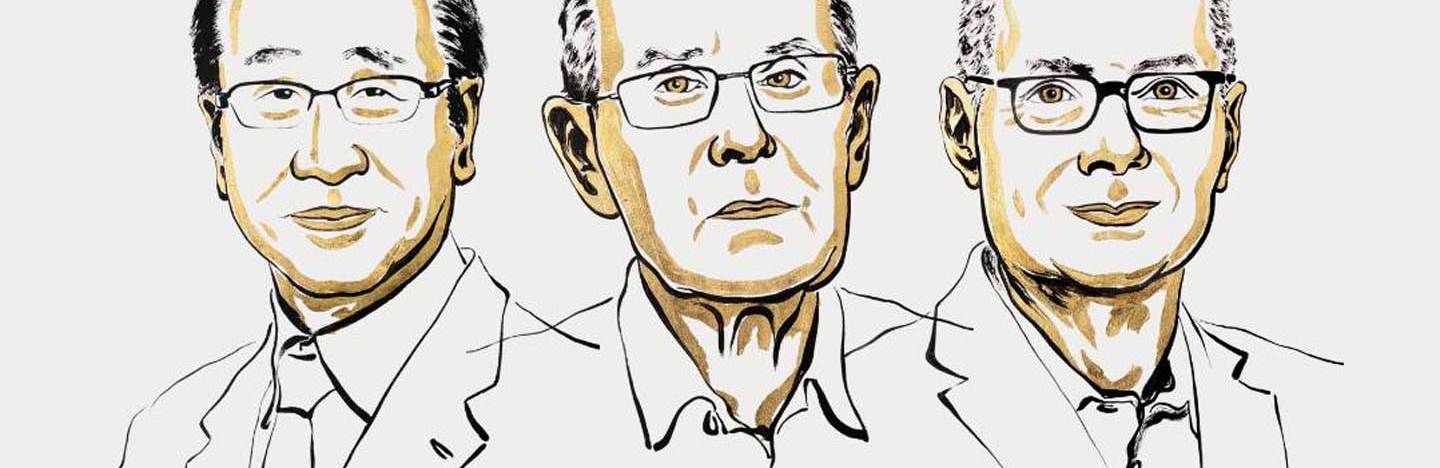 An illustration of the winners of the 2025 Nobel Prize in chemistry.