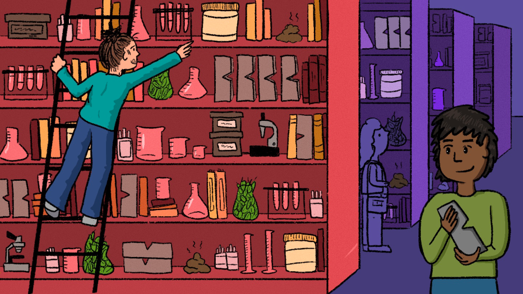 an illustratiion showing a 'library