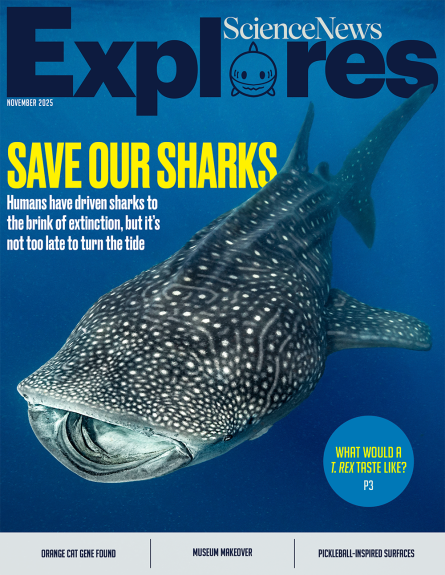 Cover of the Science News Explores November 2025 magazine