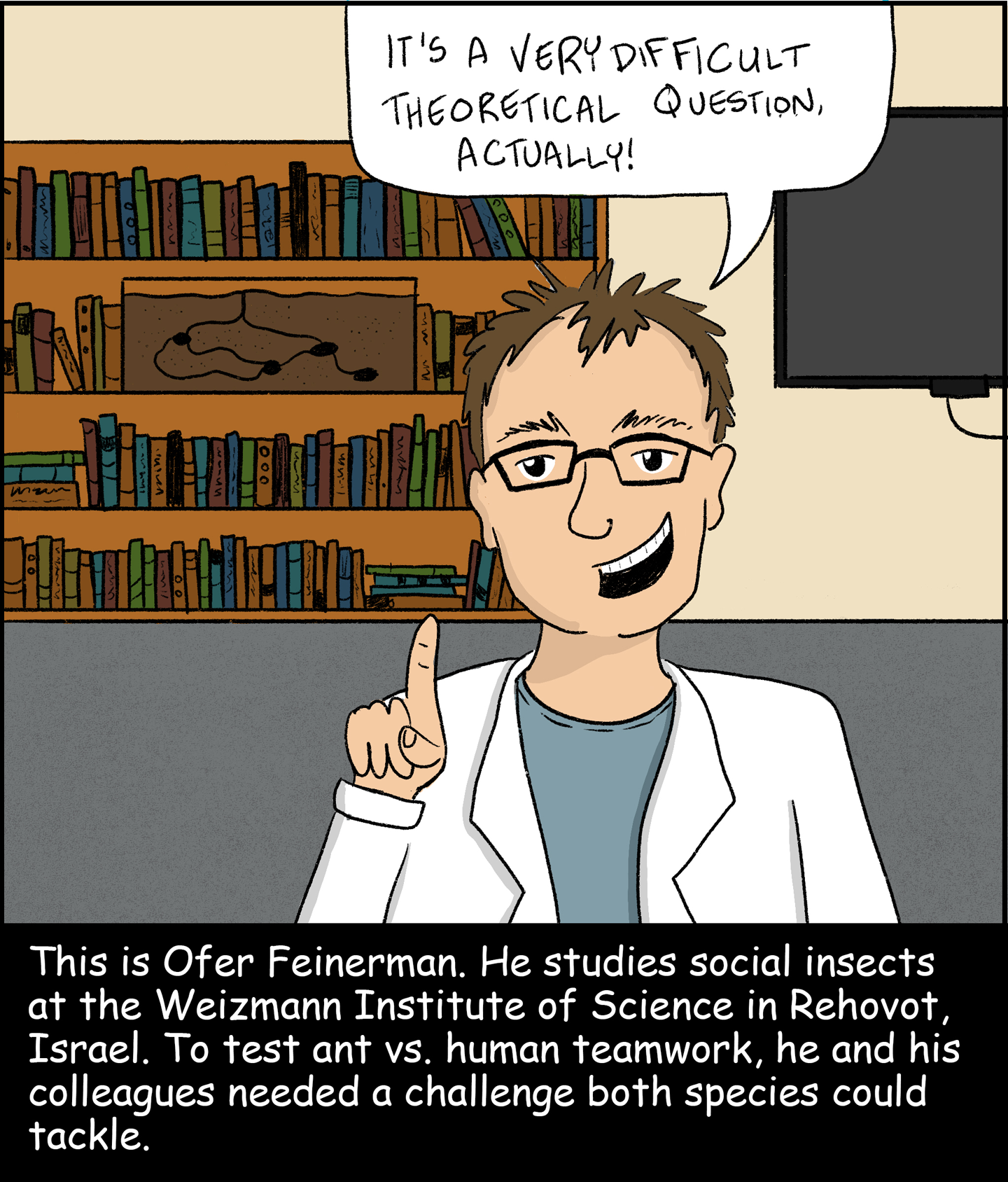 Panel 3: Image: A male scientist in a lab coat and glasses stands in his office. Behind him, there is a shelf full of books and an ant farm. He is saying, “It’s a very difficult theoretical question, actually!” Text (below image): This is Ofer Feinerman. He studies social insects at the Weizmann Institute of Science in Rehovot, Israel. To test ant vs. human teamwork, he and his colleagues needed a challenge both species could tackle. 
