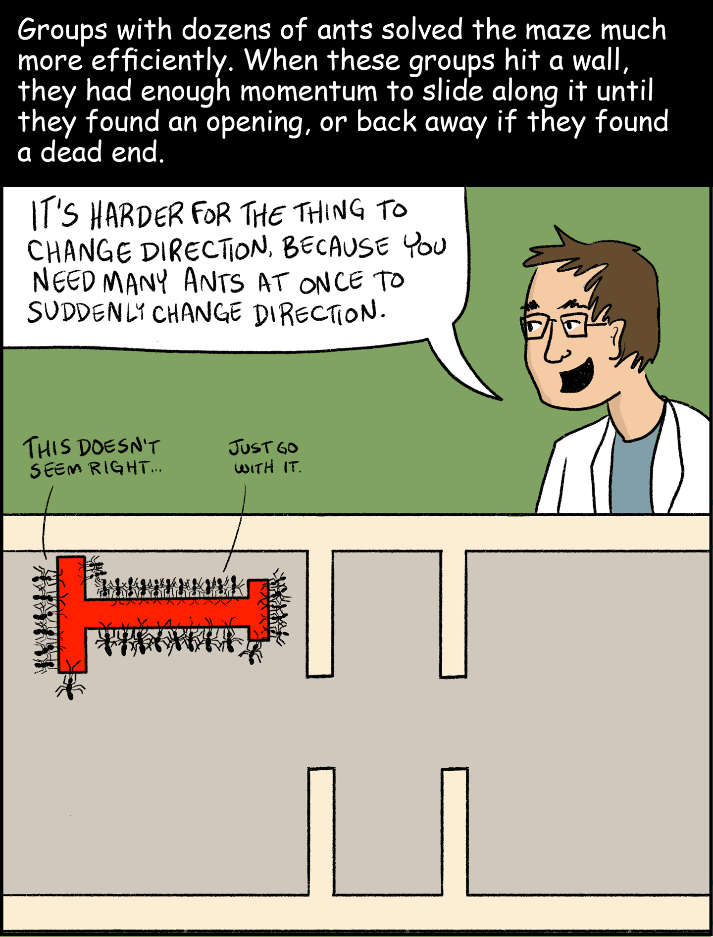 Panel 7: Text (above image): Groups with dozens of ants solved the maze much more efficiently. When these groups hit a wall, they had enough momentum to slide along it until they found an opening, or back away if they found a dead end. Image: Ofer Feinerman says, “It’s harder for the thing to change direction, because you need many ants at once to suddenly change direction.” Below him, an inset shows a large group of ants trying to get their T-shaped object through the maze. One ant says, “This doesn’t seem right…” Another ant says, “Just go with it.” 