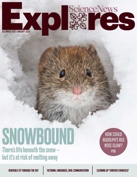 the cover of the December 2025 and January 2026 Science News Explores magazine