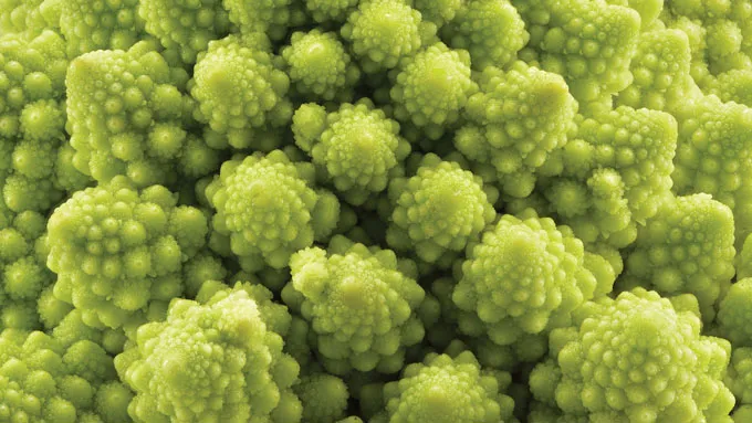 a close up view of florets of Romanesco broccoli