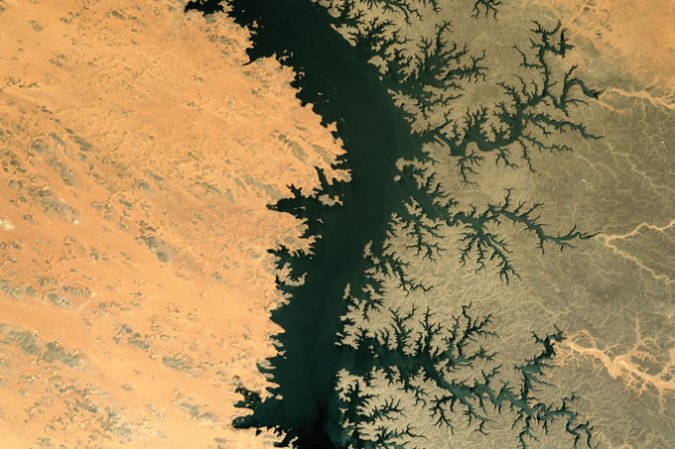 a satellite image of a river showing irregular repeating branches