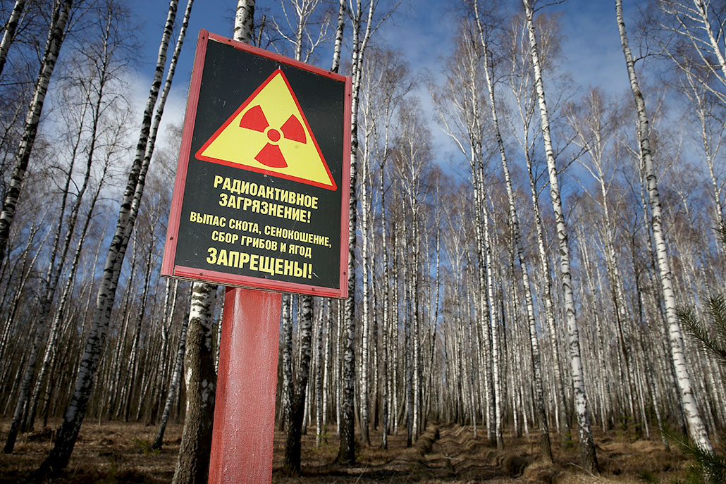 a sign with the radiation symbol, and a warning in Russian about radioactive contamination next to a forest