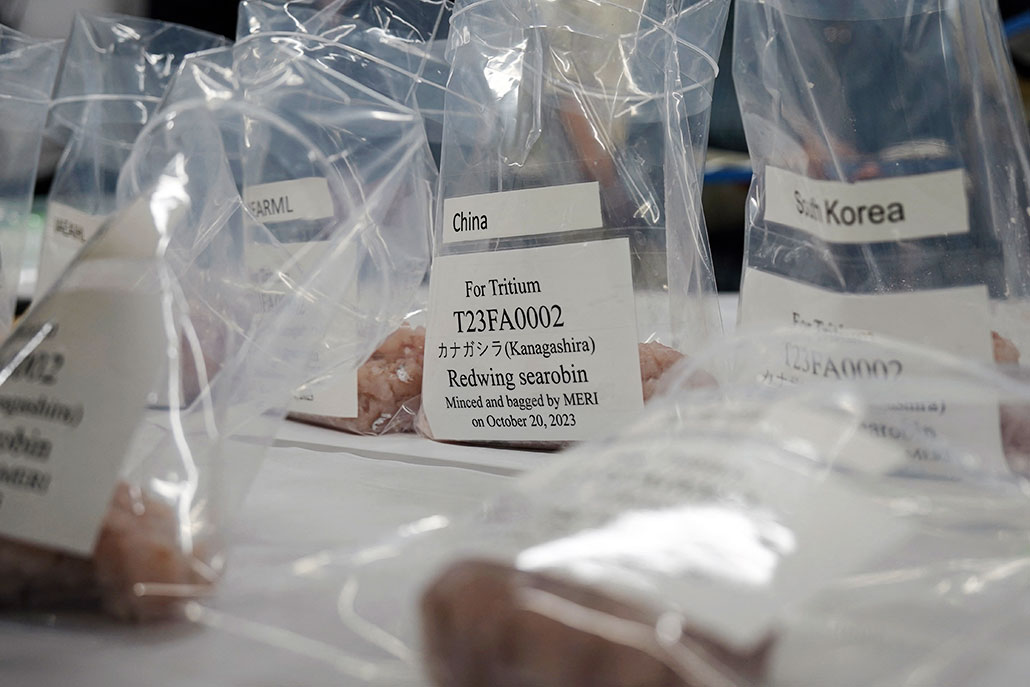 plastic bags containing samples of various fish sit on a table