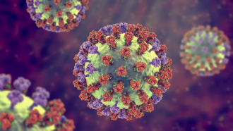an illustration of viruses