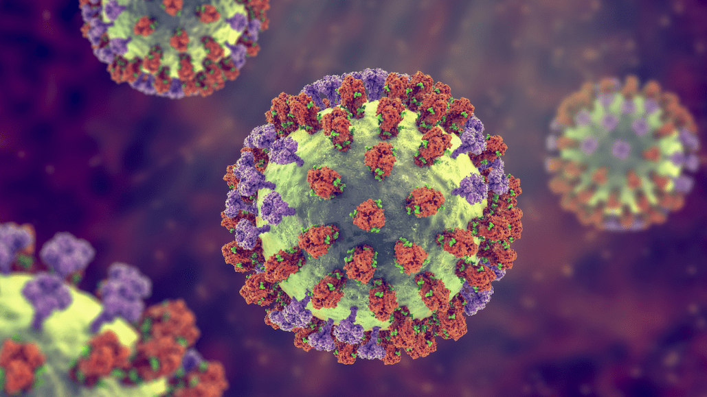 an illustration of viruses