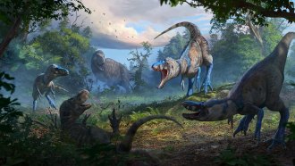 An illustration shows four T. rex looking dinos attacking a fifth in a jungly setting. The fallen dino is a juvenile T. rex and the four are a different diminutive species of tyrannosaur.