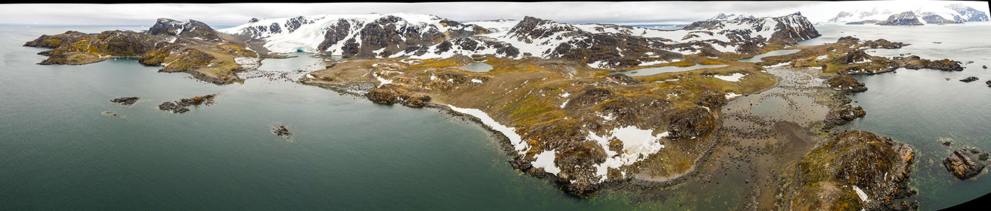 a panoramic picture of Signy Island, showing brown-green vegetation, snow and ice
