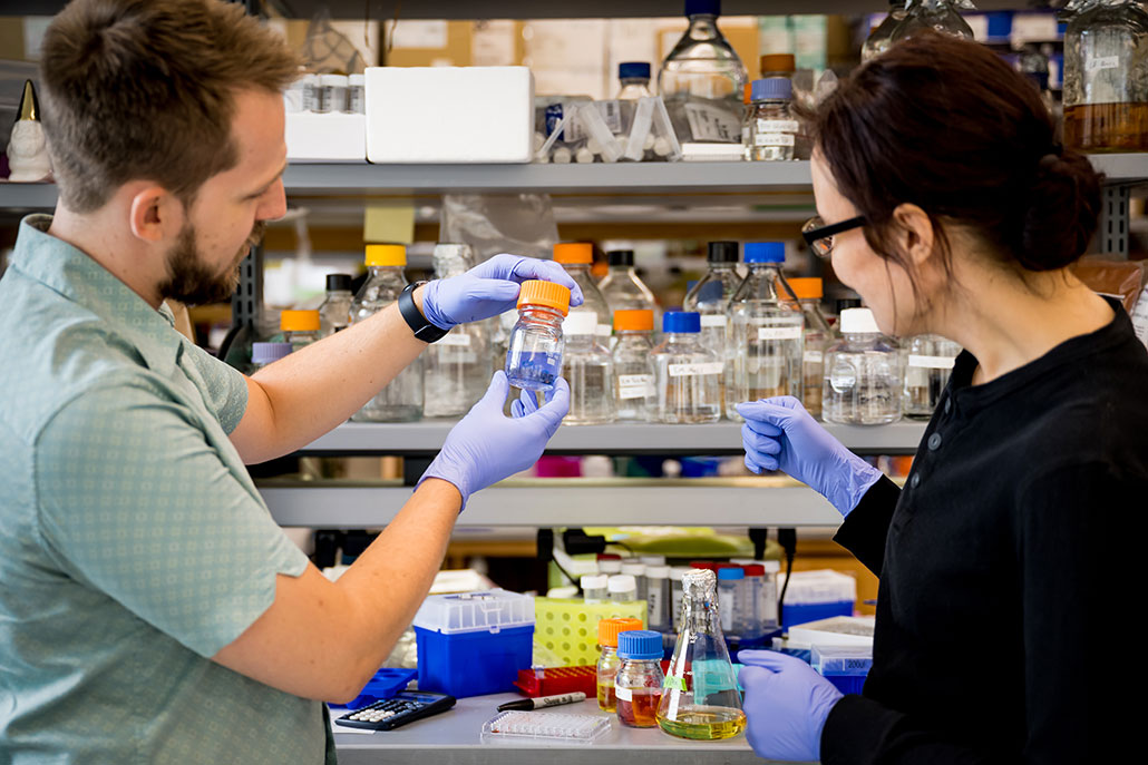 a photo of two colleagues in a laboratory wearing gloves and handling vials
