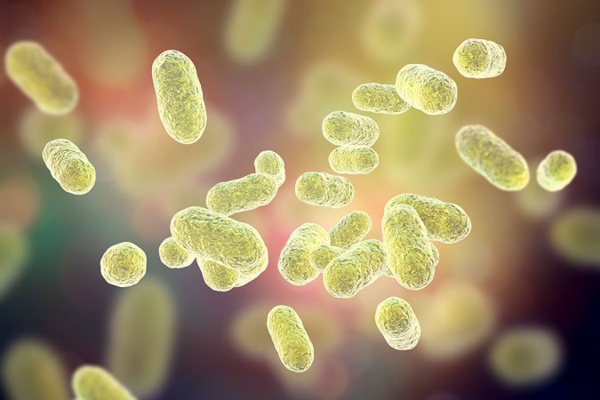 an illustration of yellow pill-shaped bacteria