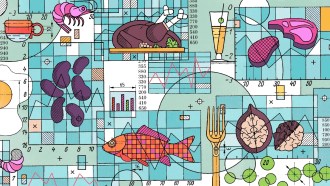 A illustration of different protein sources, including beans, meat, fish and other foods drawn over generic graphs and charts.