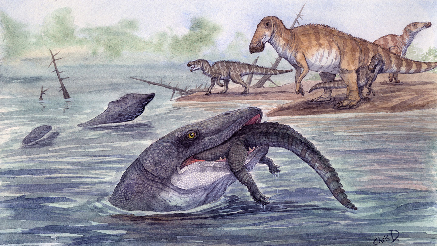 an illustrated scene showing a freshwater mosasaur poking it's head up out of a river, it has caught a large crocodile like reptile in its mouth