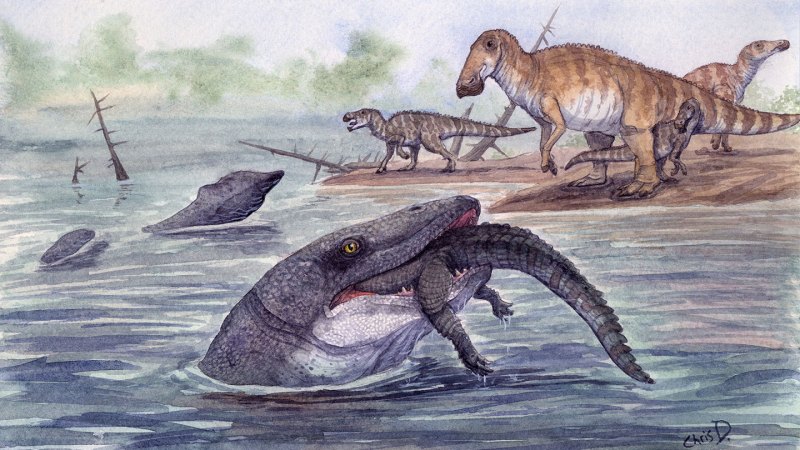 Prehistoric ‘sea’ monster also lurked in rivers, data show