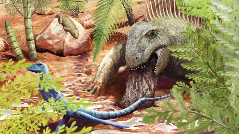 Fossil vomit shows what one 290-million-year-old predator dined on