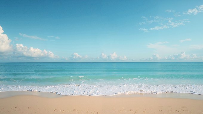 a beach under a sunny blue sky
