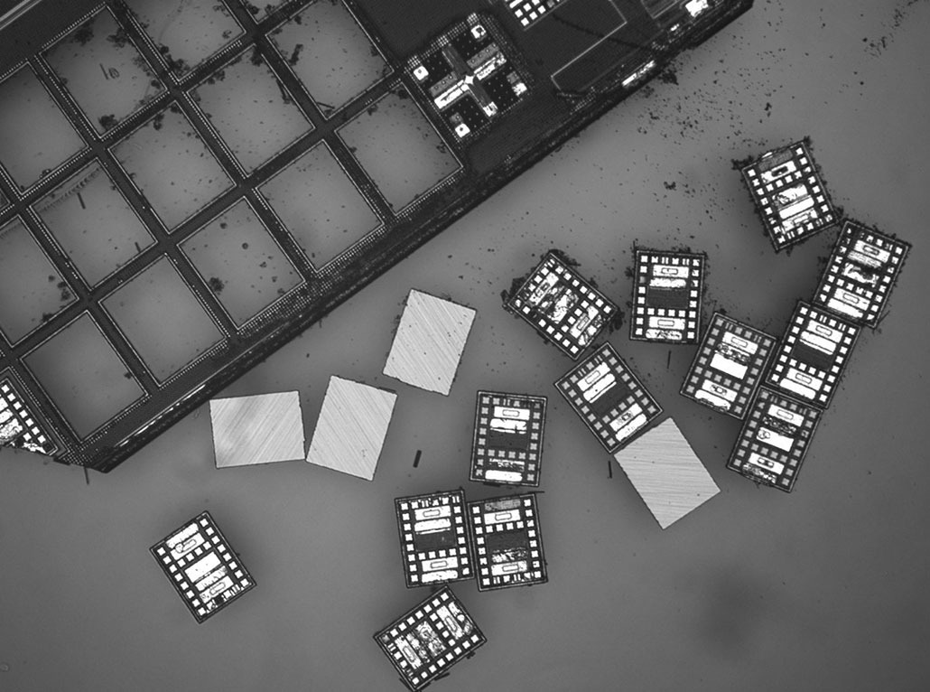 a microscope image shows a bunch of tiny robots popped out of a printed set