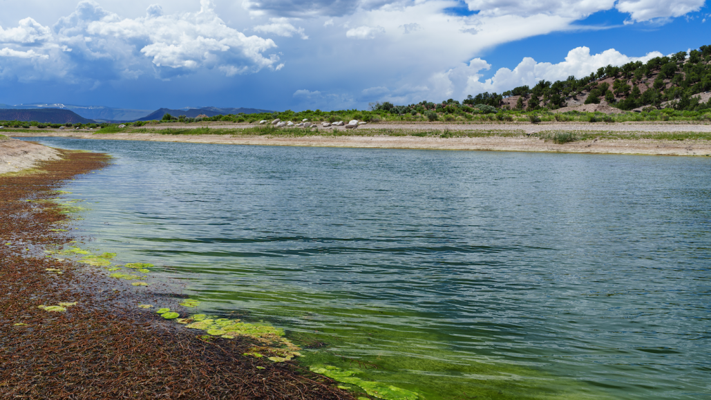 a lake with visible greenish algal bloom near the shore; hills rise in the distance and a blue sky with clouds is overhead
