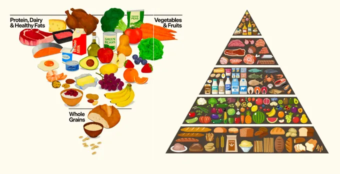 Illustration of the new food guide pyramid and an older one