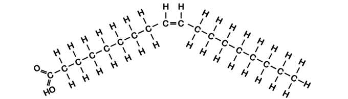 This shows the chemical structure of an unsaturated fat. It has a bend in the middle where there is a double bond between to C (carbon) molecules, which makes it different from a saturated fat.