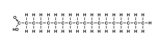 This shows the chemical structure of an unsaturated fat. It has a bend in the middle where there is a double bond between to C (carbon).This image shows the chemical structire of a saturated fat. It has a spine of C (carbon) molecules, with H (hydrogen) ones attached to both sides of the Cs, plus some oxygens at one end.