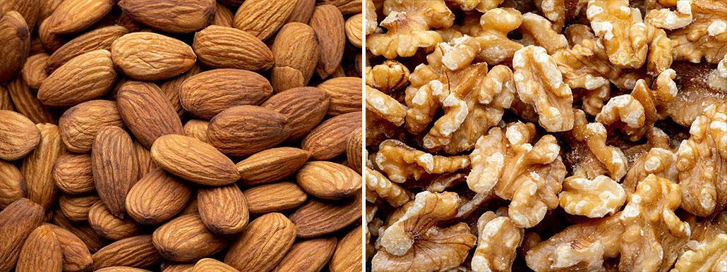 a composite image showing shelled almonds on the left and shelled walnuts on the right