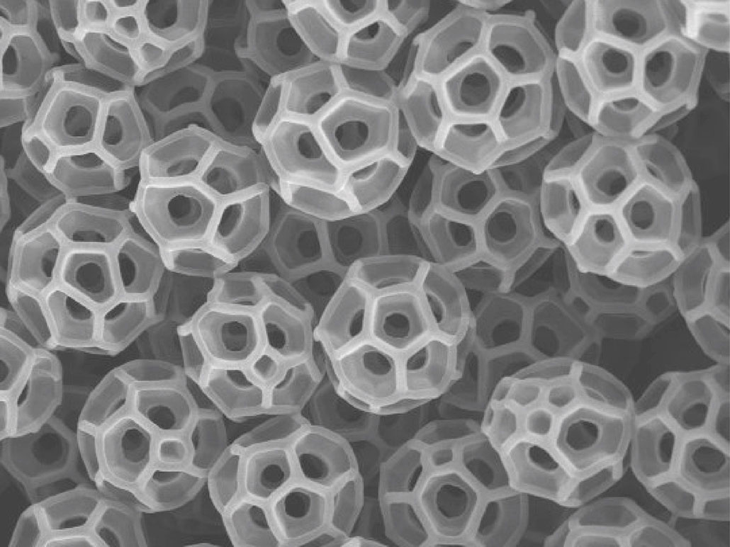 an electron-microscope image showing brochosomes, spherical structures with hollows that make the sphere resemble soccer balls