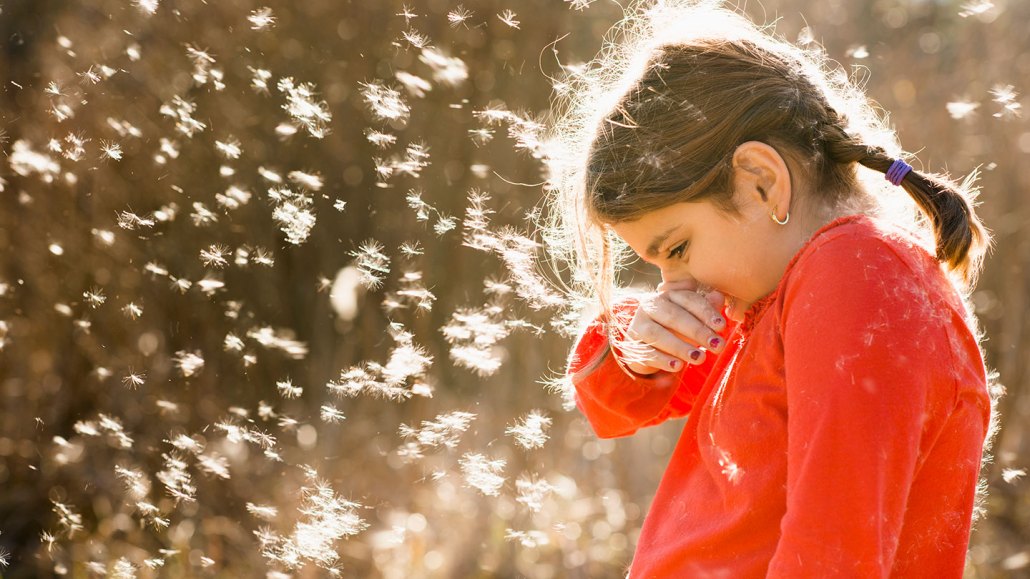 A young girl standing outside is surrounded by floating plant fluff and pollen. She's sneezing.