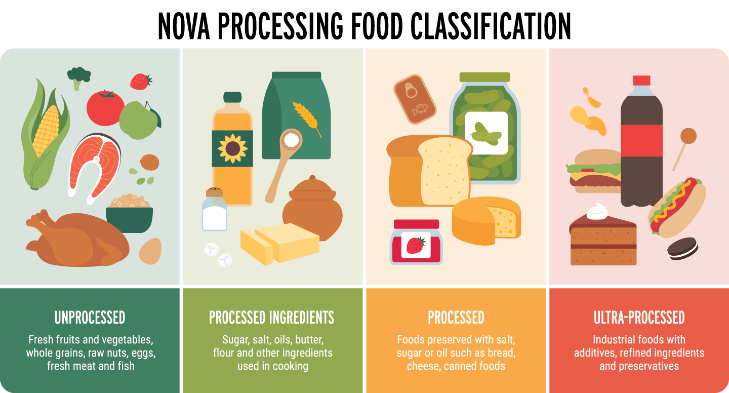 a graphic showing the four categories of foods in the Nova system, from unprocessed to ultraprocessed