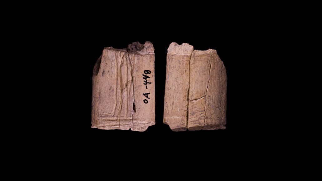 An image of two sides of a die from a early Native American culture