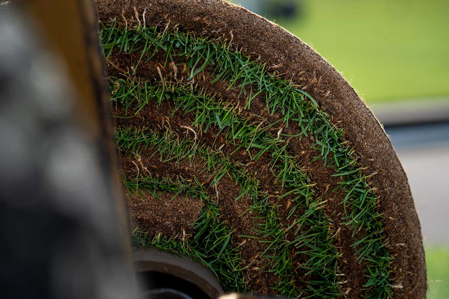 A close-up of a large cylindrical sod roll showing grass blades and soil on its curved surface.