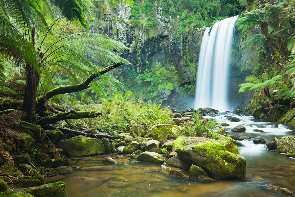 a photo of a clearing with a small stream and a waterfall, surrounded by lush green plants and mosses
