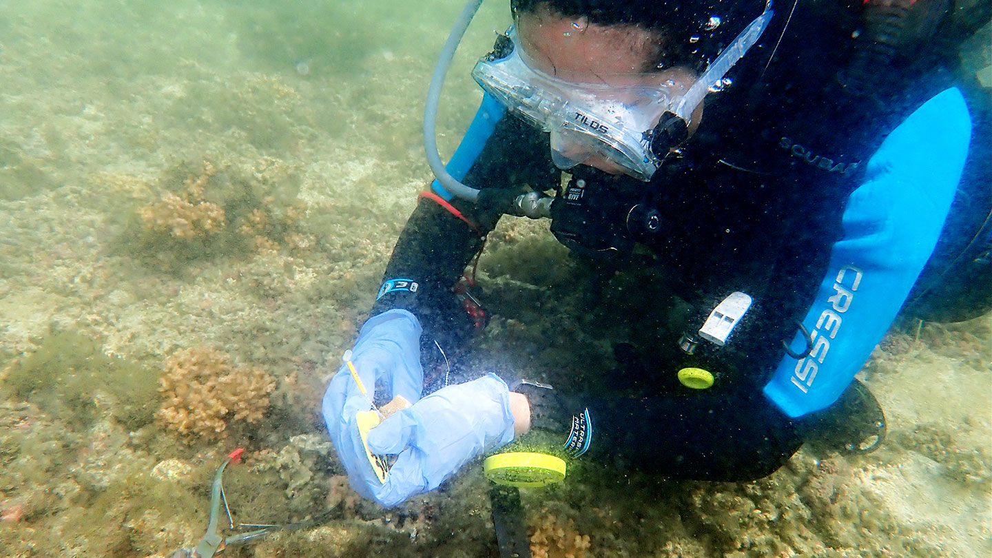 a photo of Victoria Glynn scuba-diving and conducting field work underwater