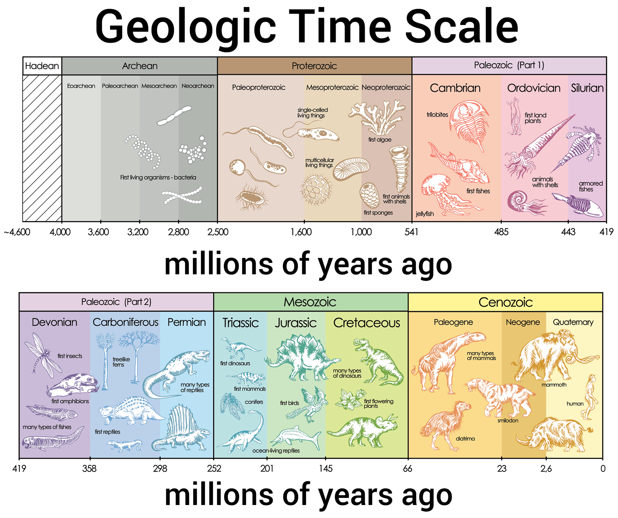 an image showing the geologic time scale in millions of years, seperated into eras