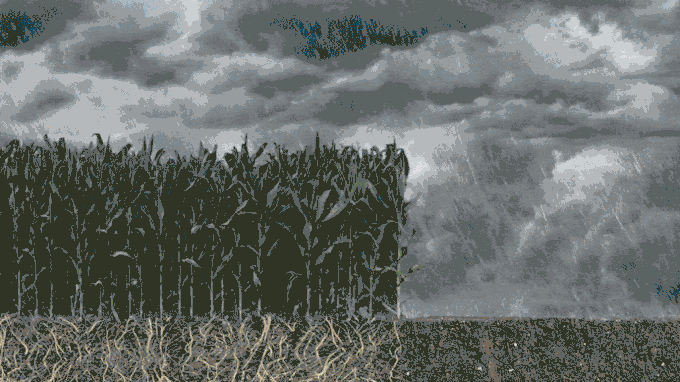 an animation showing how water is released during evaporationa and transpiration