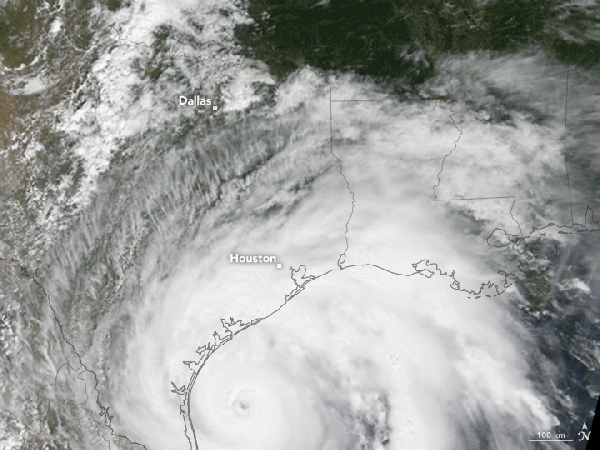 A gif shows Hurricane Harvey swirling over a satellite image of coastal Texas.
