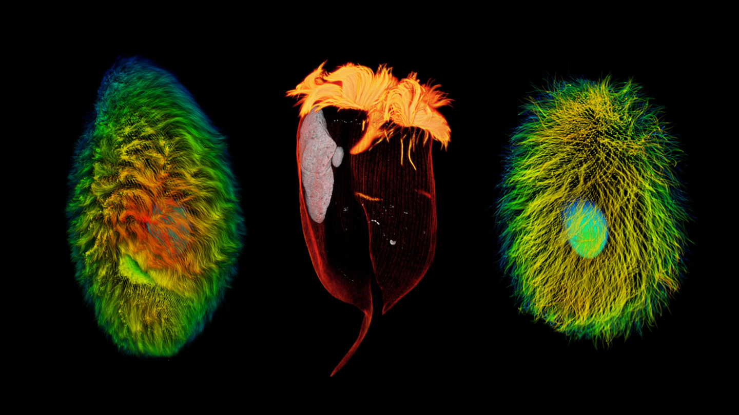 These ultra-long experiments outlive their scientists — on purpose