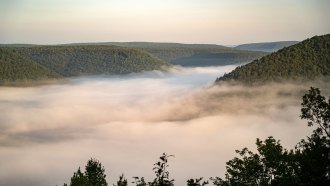 a valley full of fog tinted pink and orange at sunset