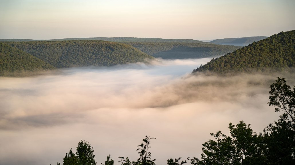 a valley full of fog tinted pink and orange at sunset