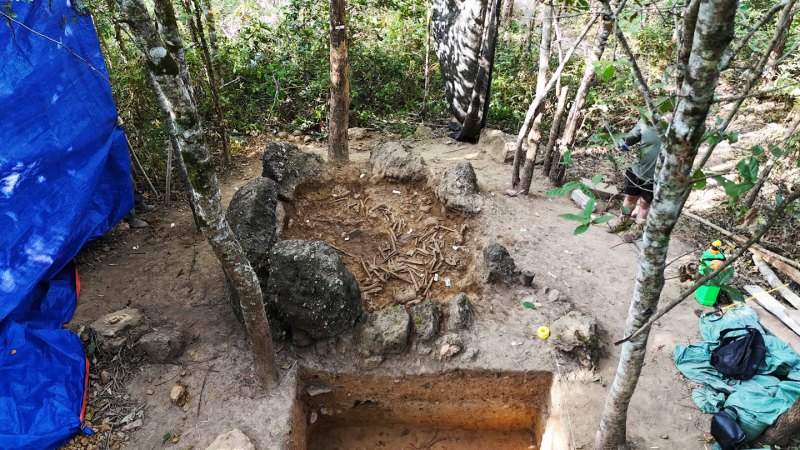 Skulls and other bones are visible within a circle of massive stone at a site in Laos that is being excavated. You can see a researcher and some excavation tools around the wooded site.