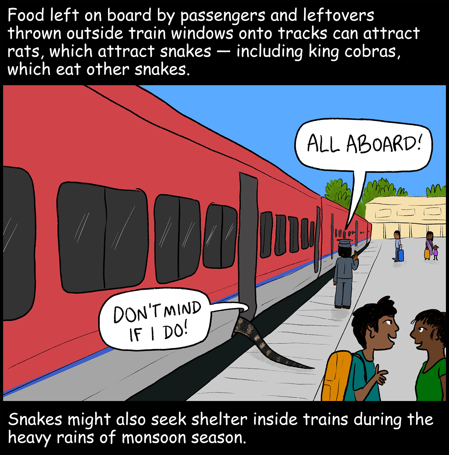 Text (above image): Food left on board by passengers and leftovers thrown outside train windows onto tracks can attract rats, which attract snakes — including king cobras, which eat other snakes. Image: A train platform bustles with people. A railway worker yells, “All aboard!” Meanwhile, a snake slithers onto one of the cars of the train parked at the platform. The snake says, “Don’t mind if I do!” Text (below image): Snakes might also seek shelter inside trains during the heavy rains of monsoon season.