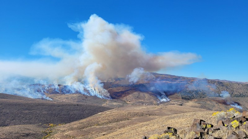 Wildfires can be tracked by their distinctive rumble