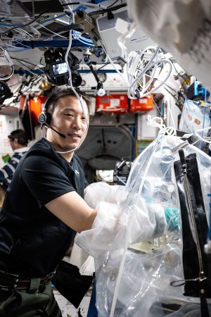 a photo of Jonny Kim working with bioprinted liver tissues on the International Space Station