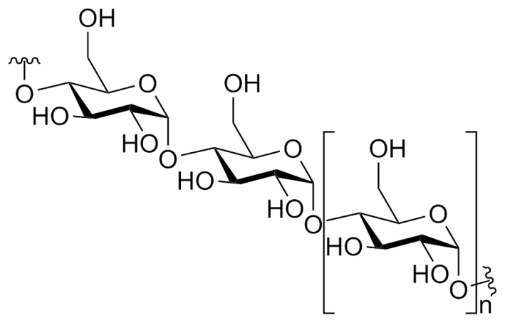 an illustration showing the chemical structure of amylose, highlighting the repeating units of glucose