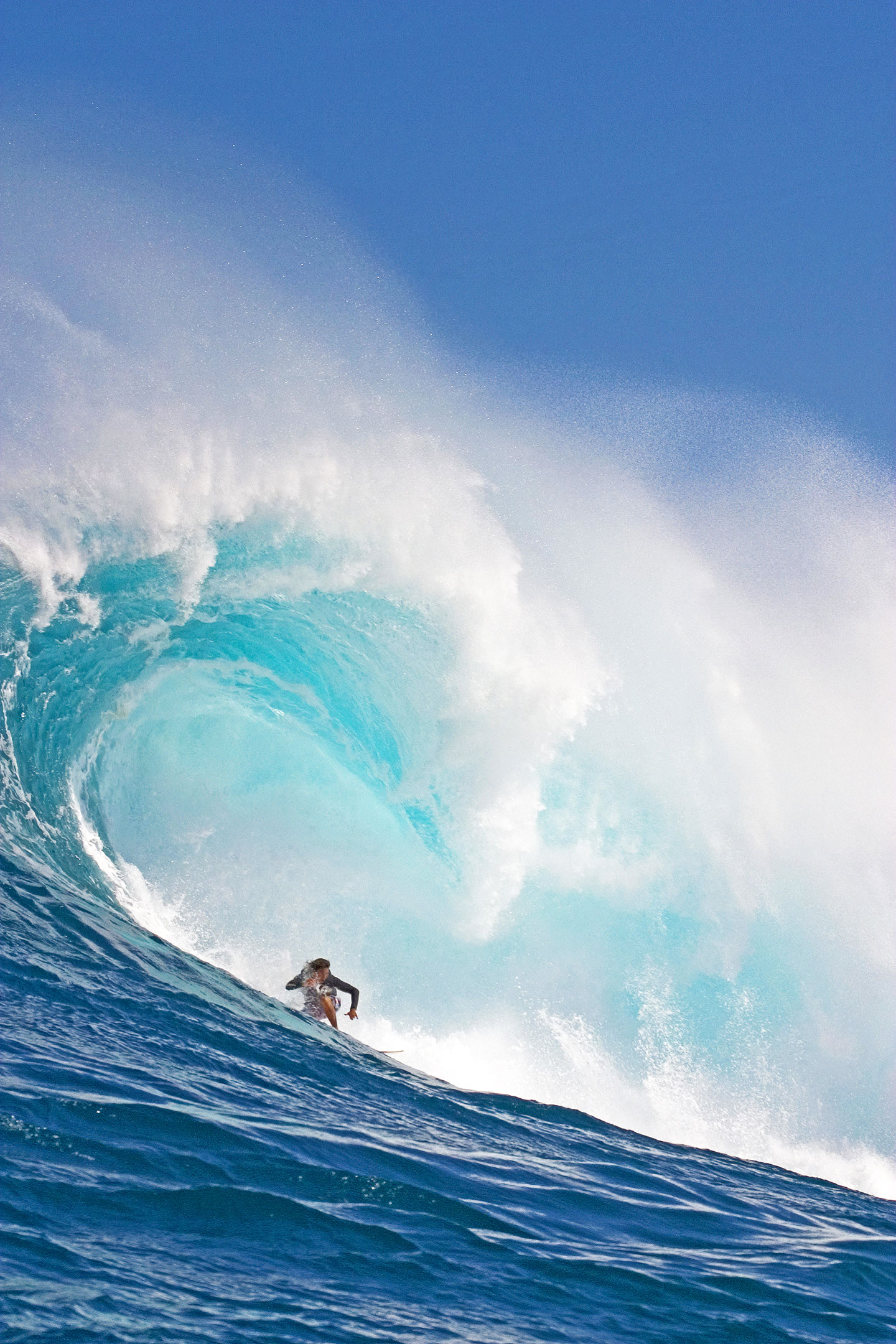 A surfer rides a huge wave off the coast of Hawaii. DAVID FLEETHAM/ALAMY