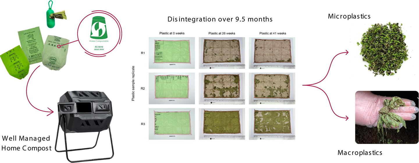a series of photos showing how dop poop composted in home compost over time