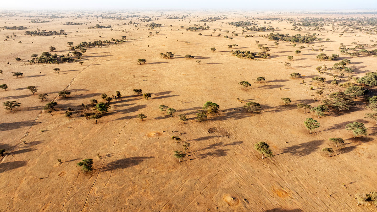 An aerial image of an arid savannah with sparse tree cover