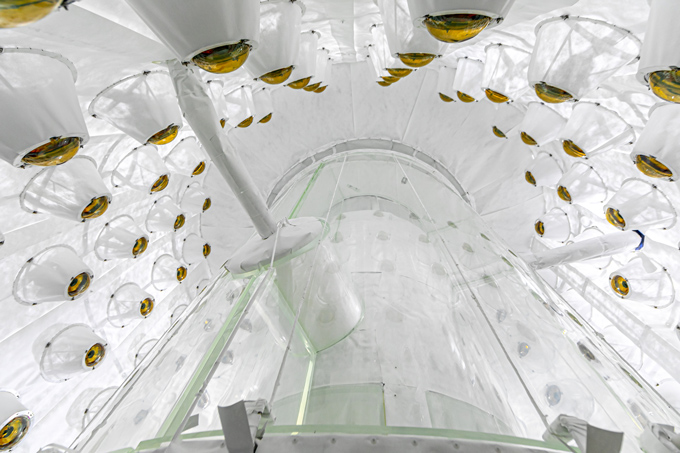 The interior of the LZ particle detector shows a large translucent tank with gold photomultiplier tubes surrounding it.